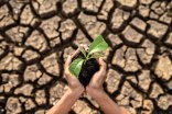 boy are stand holding seedlings are in dry land in a warming wor