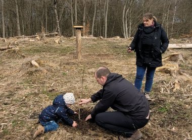 Pflanzaktion Bürgerwald