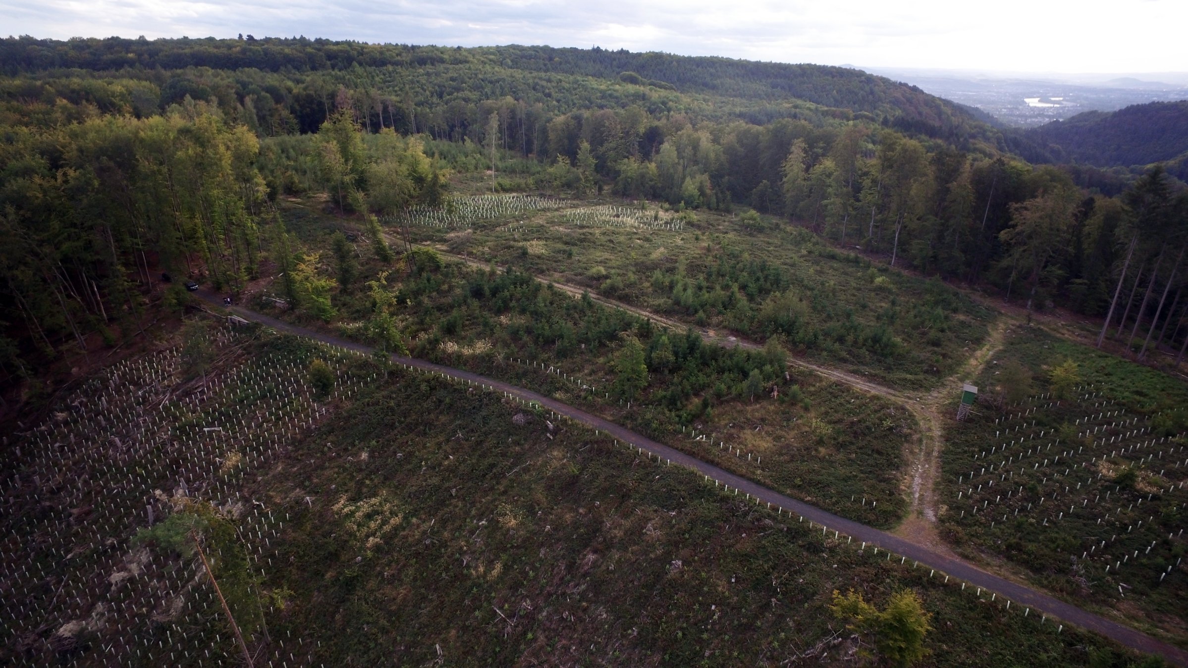Bürgerwald und Waldzukunftsvertrag Stadt Bendorf