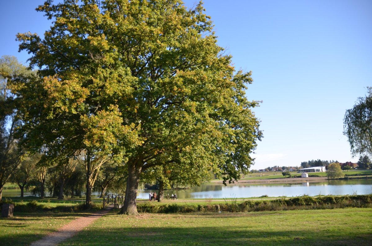 vues d'automne aux Ozières