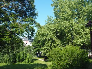Grün im Stadtpark