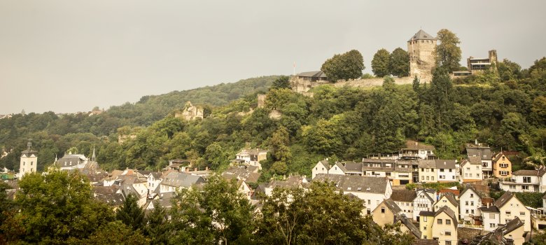 Blick auf Alt-Sayn und die Burg Sayn