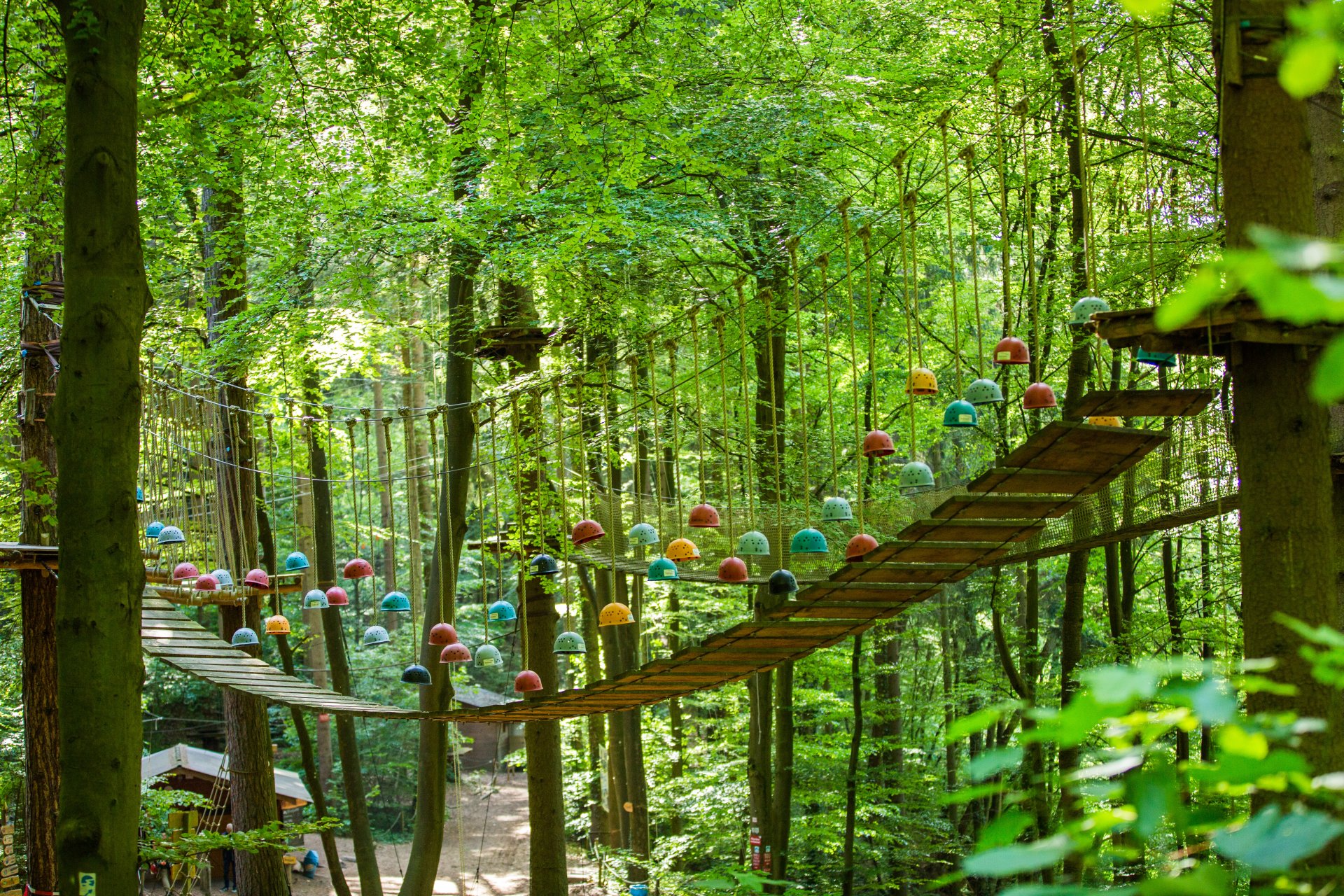 Der Kletterwald Sayn