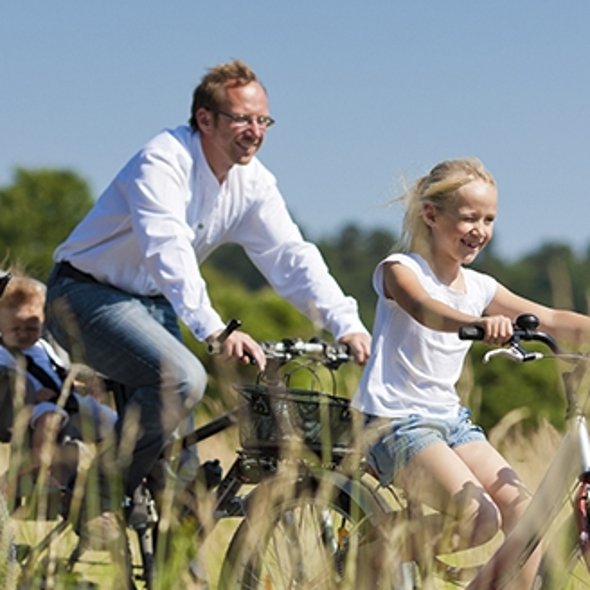 Radfahrer auf dem Rhein-Radweg