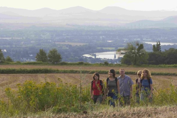 Wanderer auf dem Rheinsteig