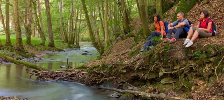 Wanderer verweilen im Brexbachtal