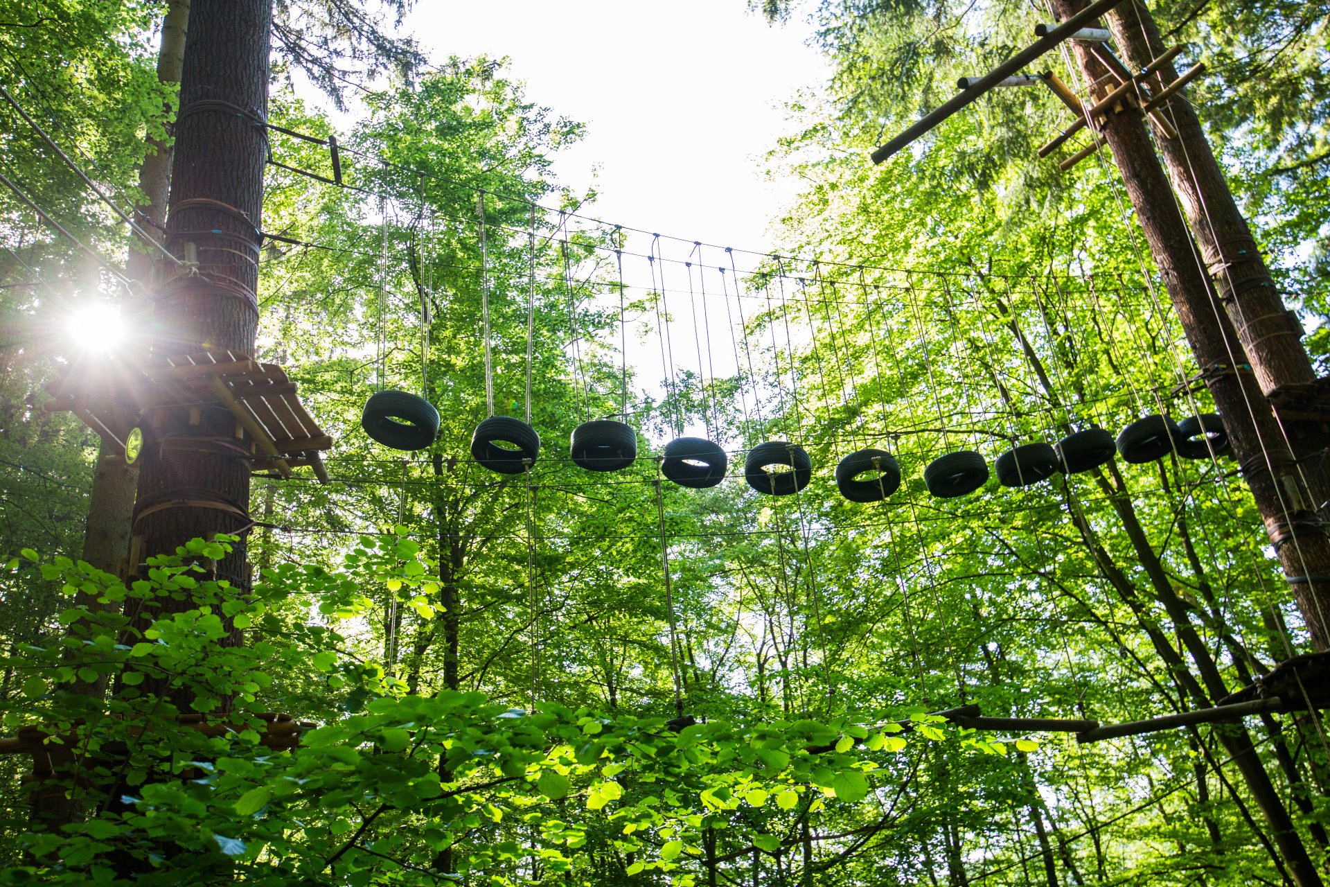 Der Kletterwald Sayn