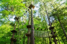 Der Kletterwald Sayn