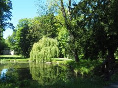 Weiher im Schlosspark