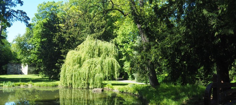 Schlossweiher im Schlosspark Sayn