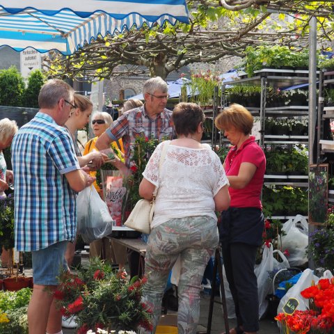 Bauern und Gartenmarkt Stadt Bendorf