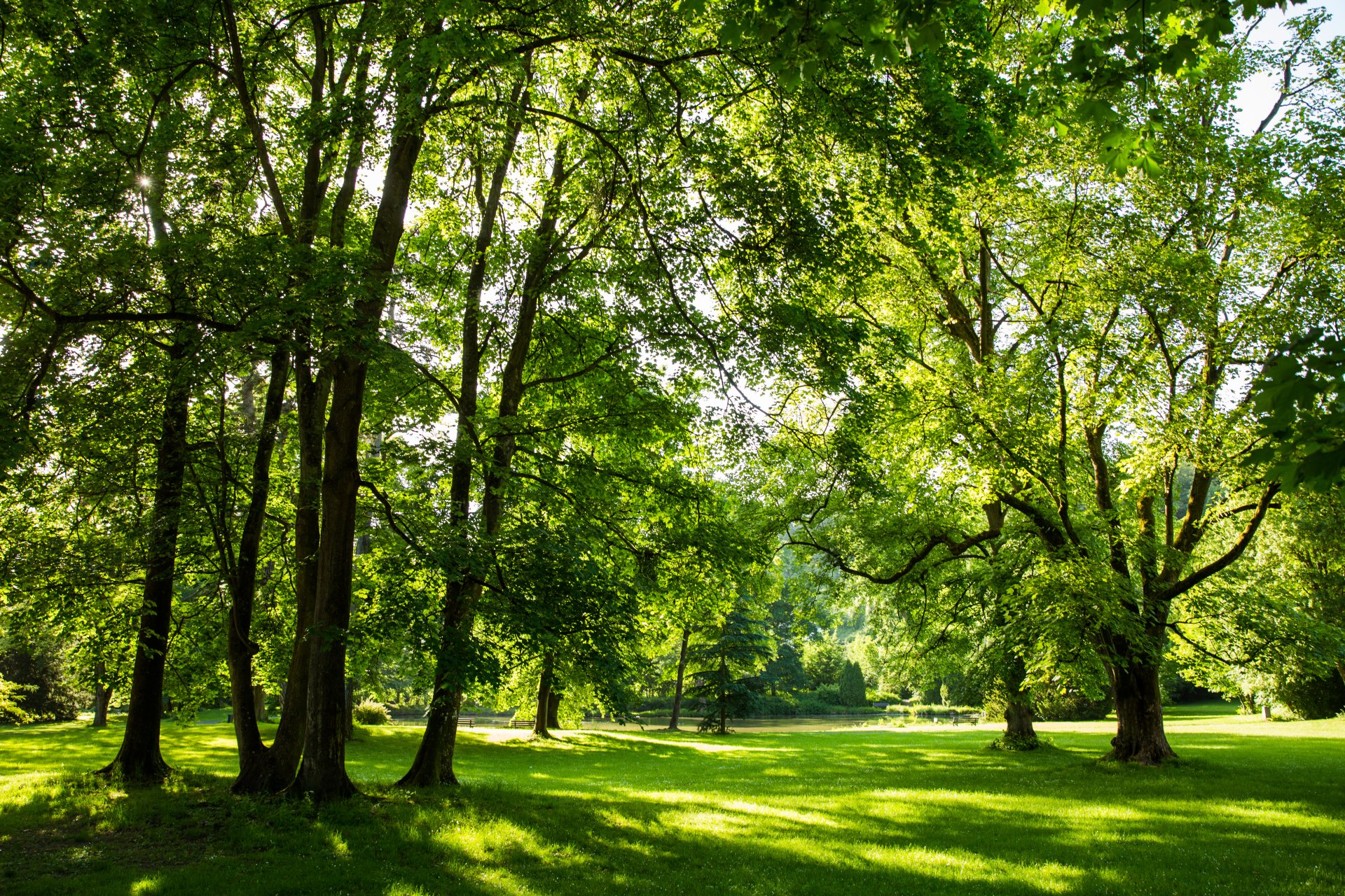 Der Schlosspark Sayn