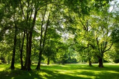Der Schlosspark Sayn Der Schlosspark Sayn